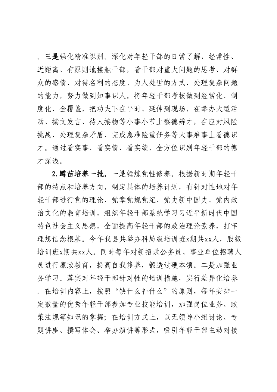 县实施新时代年轻干部成长工程情况汇报.docx_第2页