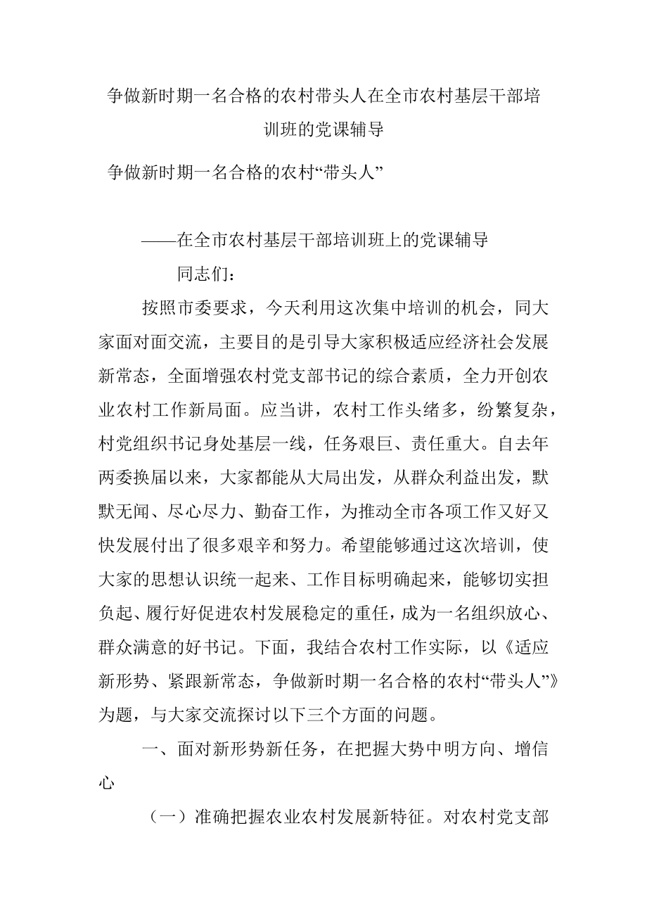 争做新时期一名合格的农村带头人在全市农村基层干部培训班的党课辅导.docx_第1页