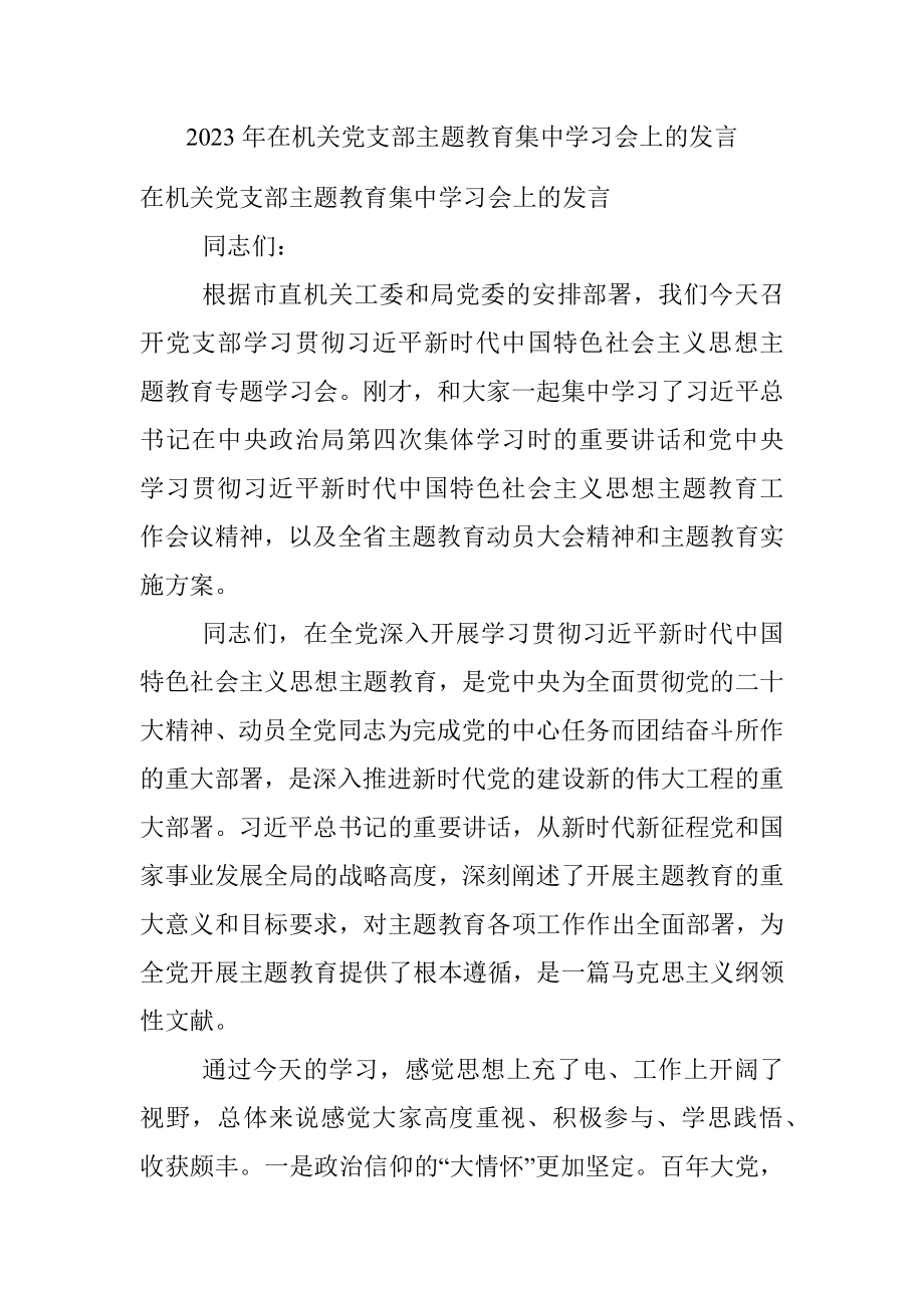 2023年在机关党支部主题教育集中学习会上的发言.docx_第1页