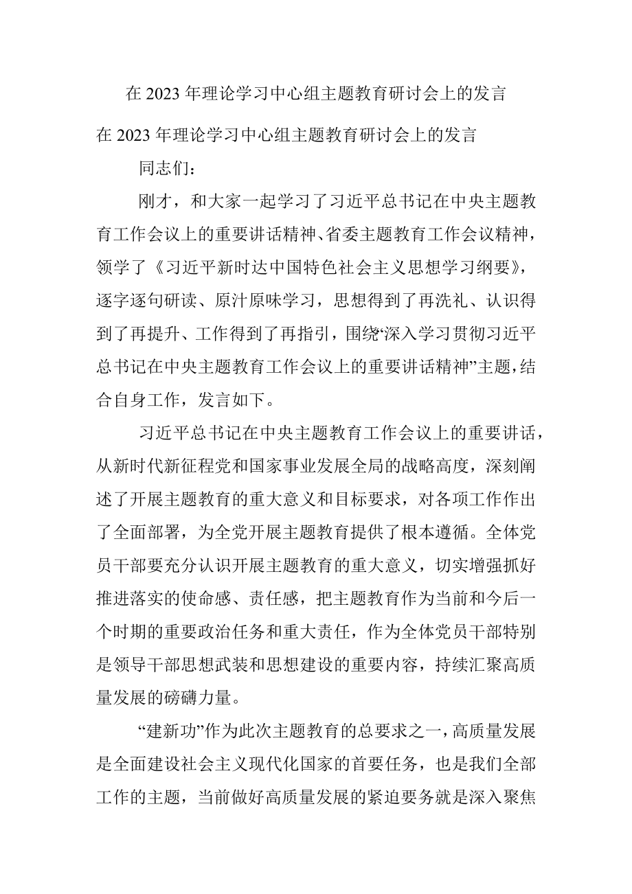 在2023年理论学习中心组主题教育研讨会上的发言.docx_第1页