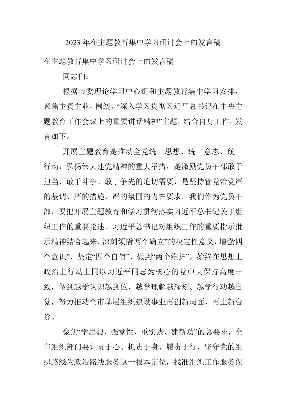 2023年在主题教育集中学习研讨会上的发言稿.docx_第1页