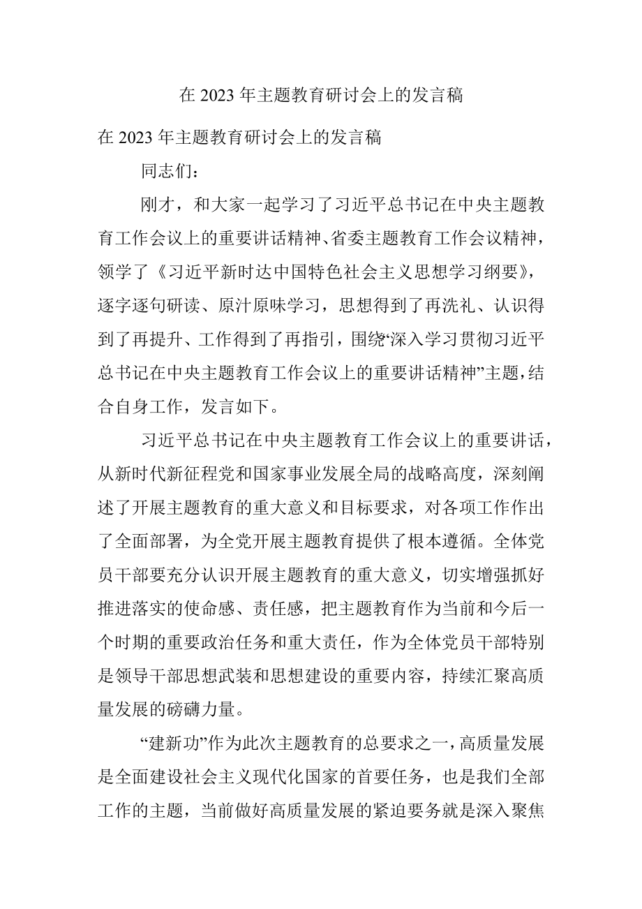 在2023年主题教育研讨会上的发言稿.docx_第1页