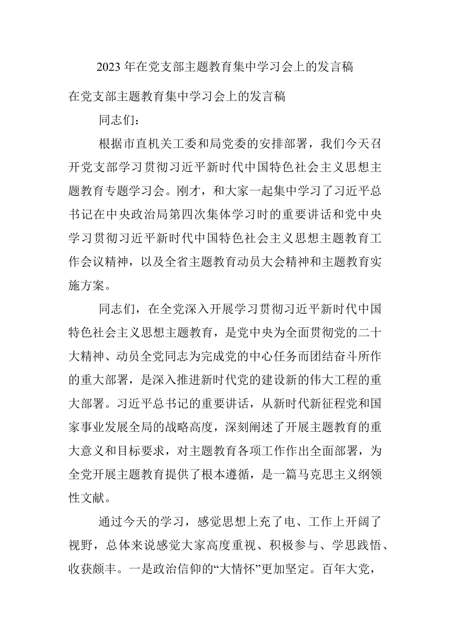 2023年在党支部主题教育集中学习会上的发言稿.docx_第1页