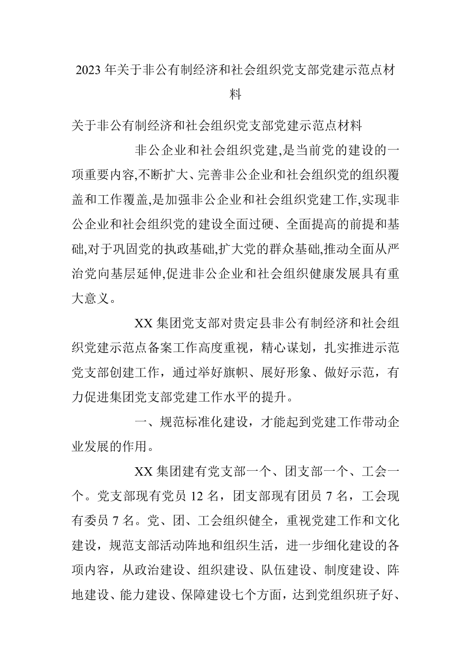 2023年关于非公有制经济和社会组织党支部党建示范点材料.docx_第1页