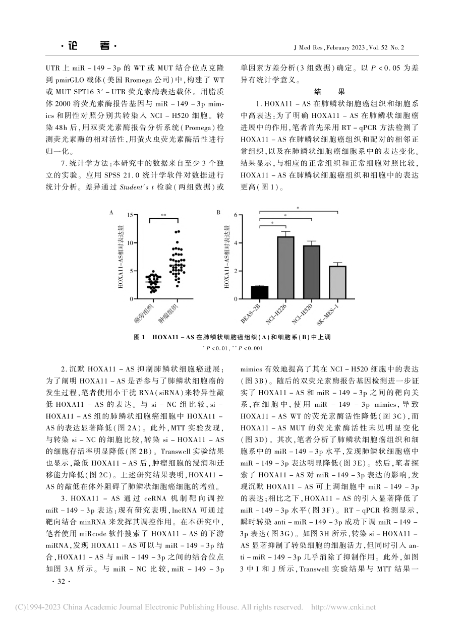 HOXA11-AS_miR...状细胞癌中的作用及机制研究_赵静.pdf_第3页