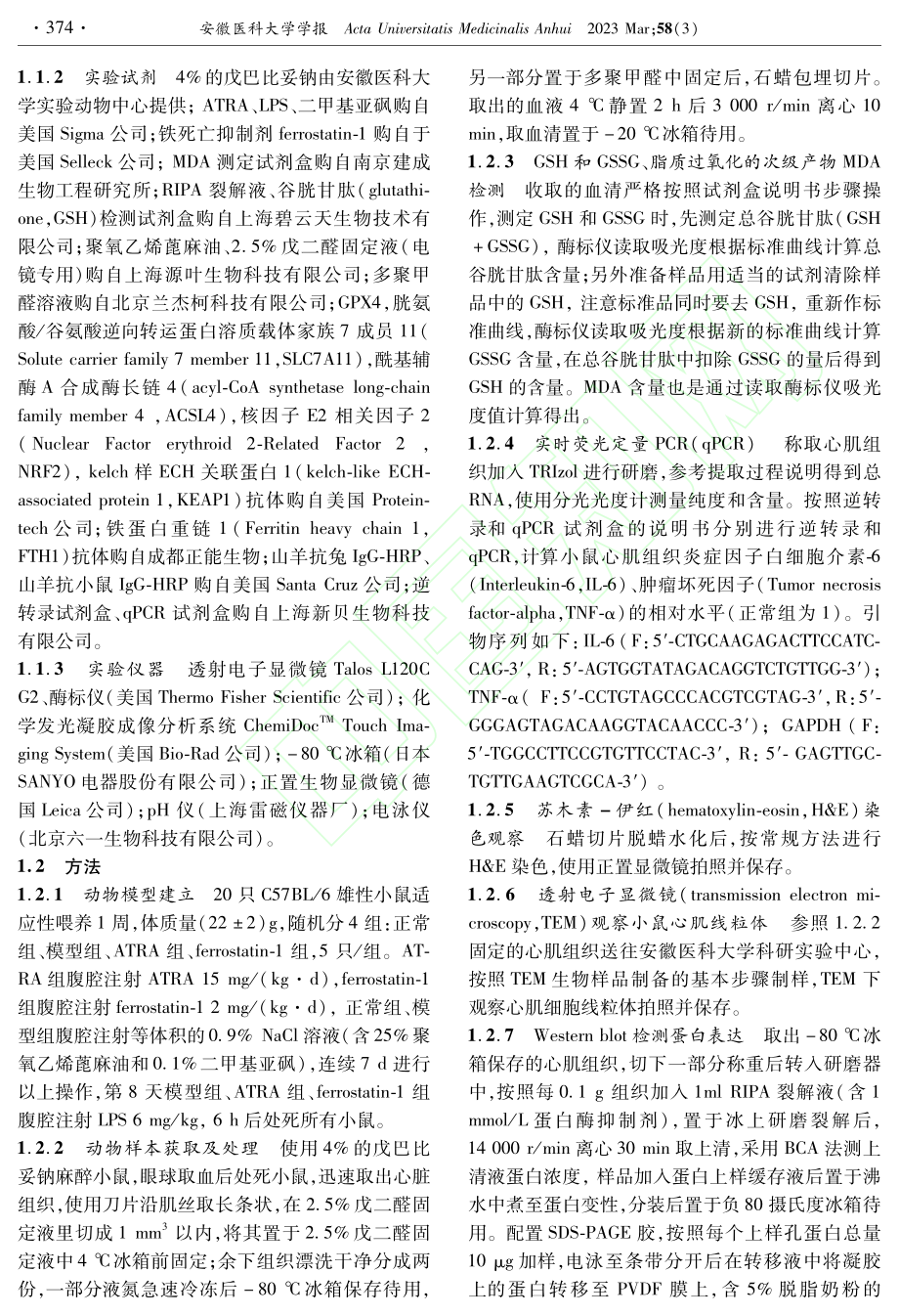 ATRA通过抑制铁死亡缓解...多糖诱导的小鼠急性心肌损伤_但章勇.pdf_第2页