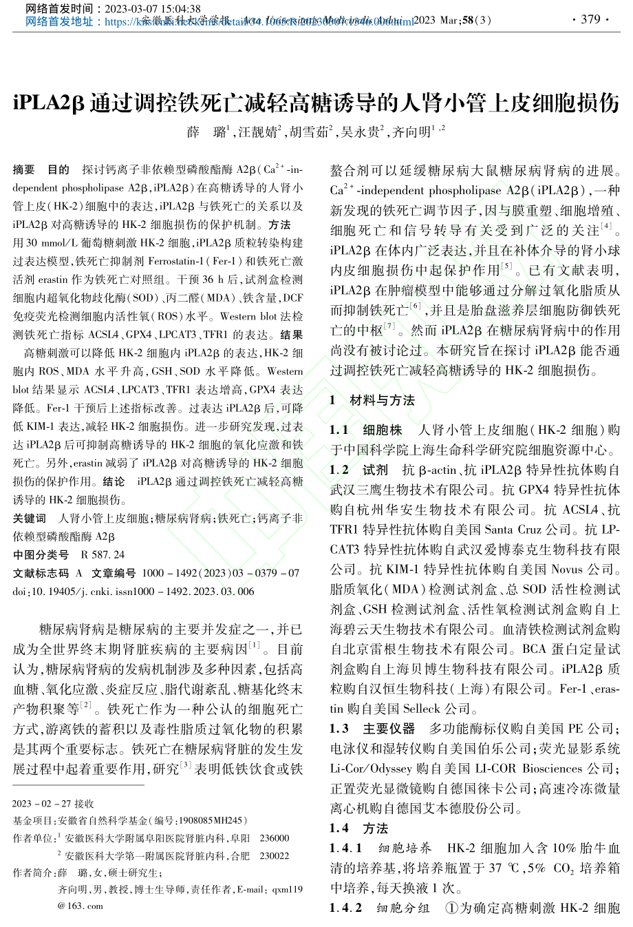 iPLA2β通过调控铁死亡...诱导的人肾小管上皮细胞损伤_薛璐.pdf_第1页