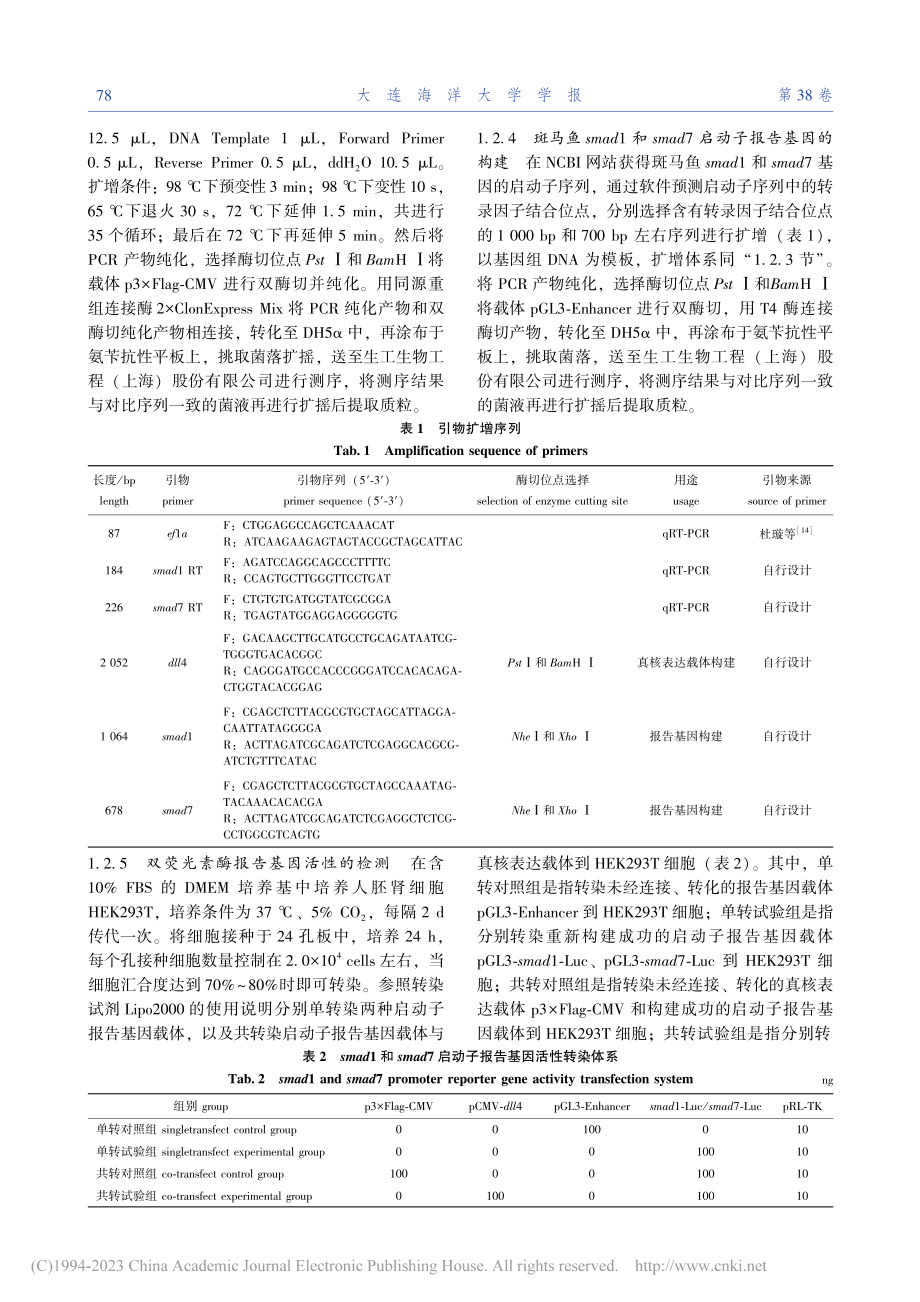 斑马鱼Notch信号通路配...4对smad基因的调控作用_程瑶.pdf_第3页