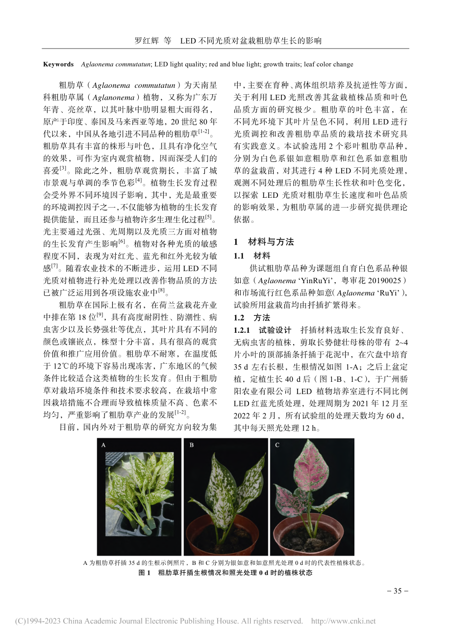 LED不同光质对盆栽粗肋草生长的影响_罗红辉.pdf_第2页