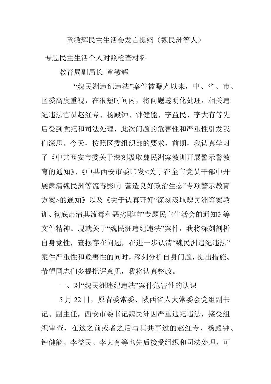 童敏辉民主生活会发言提纲（魏民洲等人）.docx_第1页