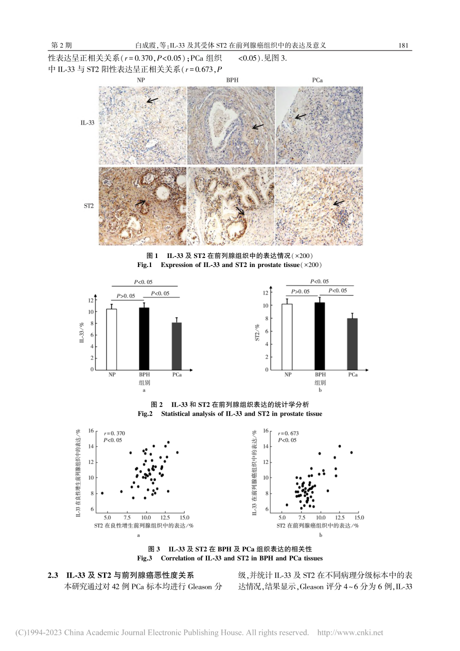 IL-33及其受体ST2在前列腺癌组织中的表达及意义_白成霞.pdf_第3页