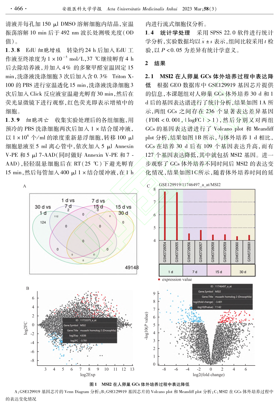 MSI2对DHT诱导的KGN细胞增殖凋亡失衡的影响_杜悠雯.pdf_第3页