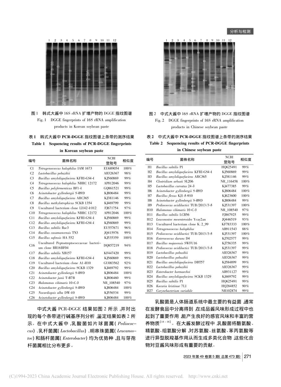 PCR-DGGE技术分析韩...酱与中式大酱中微生物多样性_曾玲.pdf_第3页