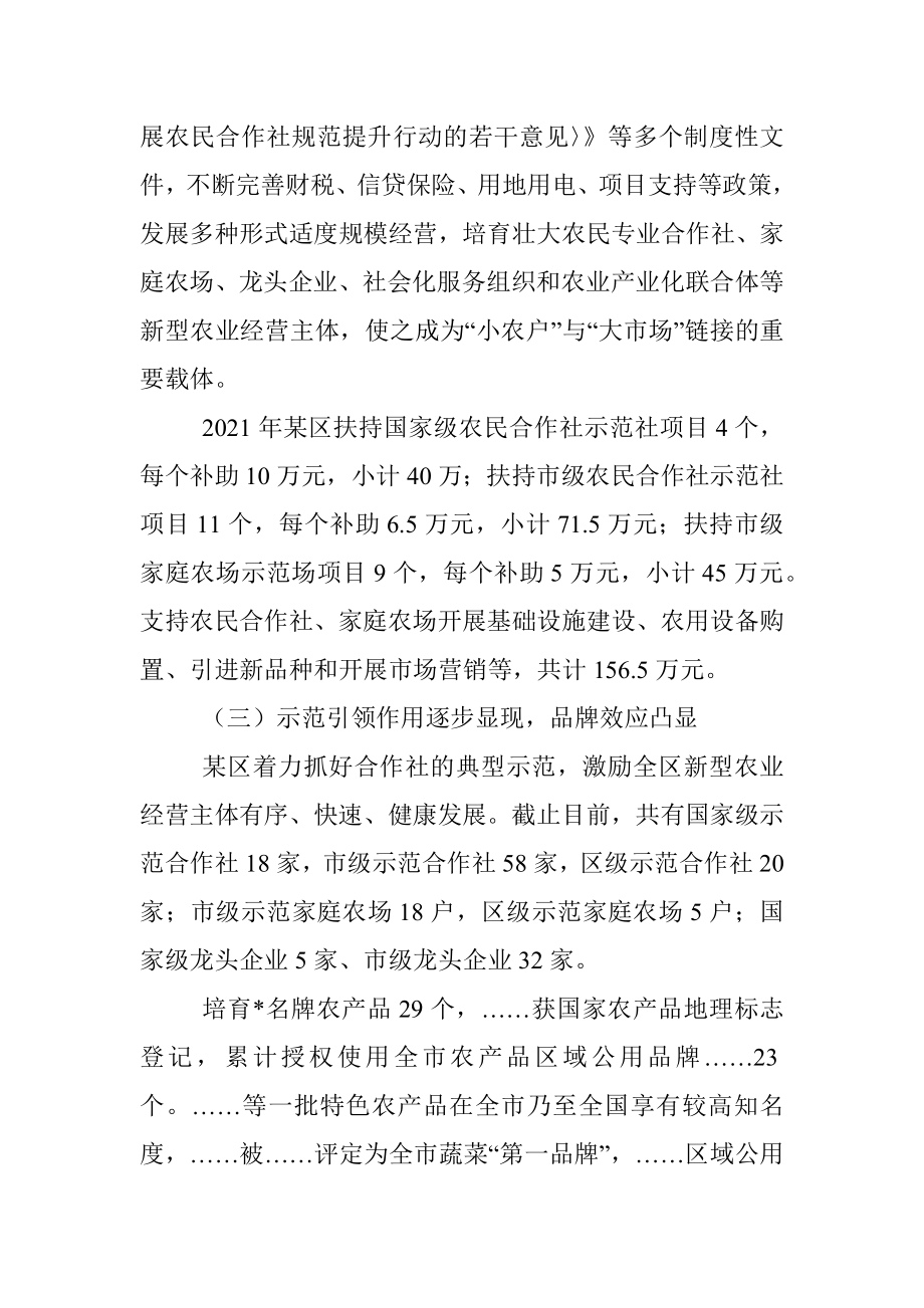 新型农业经营主体发展调研报告.docx_第2页