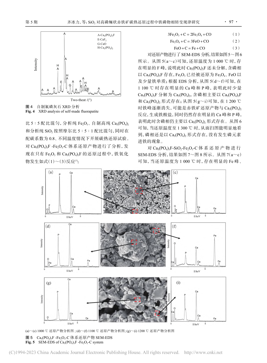 SiO_2对高磷鲕状赤铁矿...过程中铁磷物相转变规律研究_齐冰力.pdf_第3页