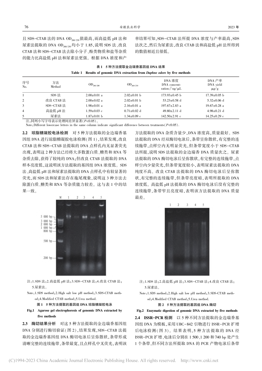 5种金边瑞香基因组DNA提取方法比较研究_罗素梅.pdf_第3页