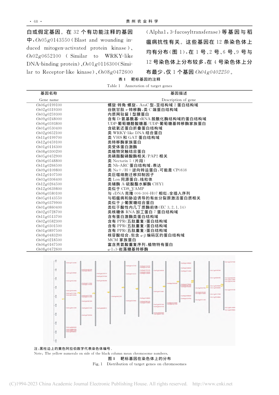 Osa-miR1436靶标基因的生物信息学分析_胡嘉敏.pdf_第3页