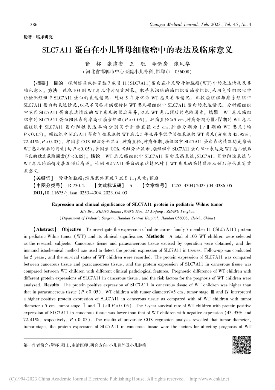 SLC7A11蛋白在小儿肾母细胞瘤中的表达及临床意义_靳杯.pdf_第1页