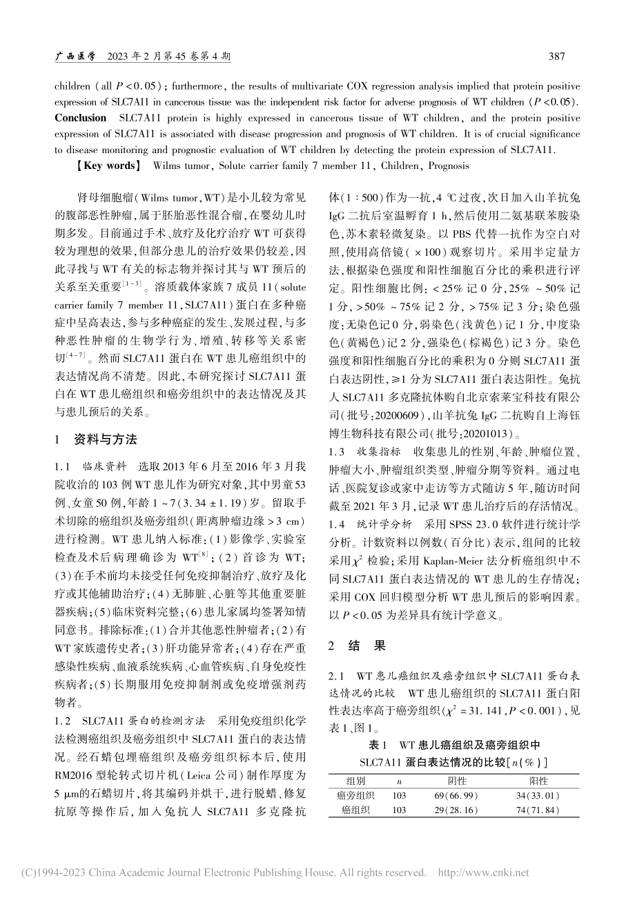 SLC7A11蛋白在小儿肾母细胞瘤中的表达及临床意义_靳杯.pdf_第2页