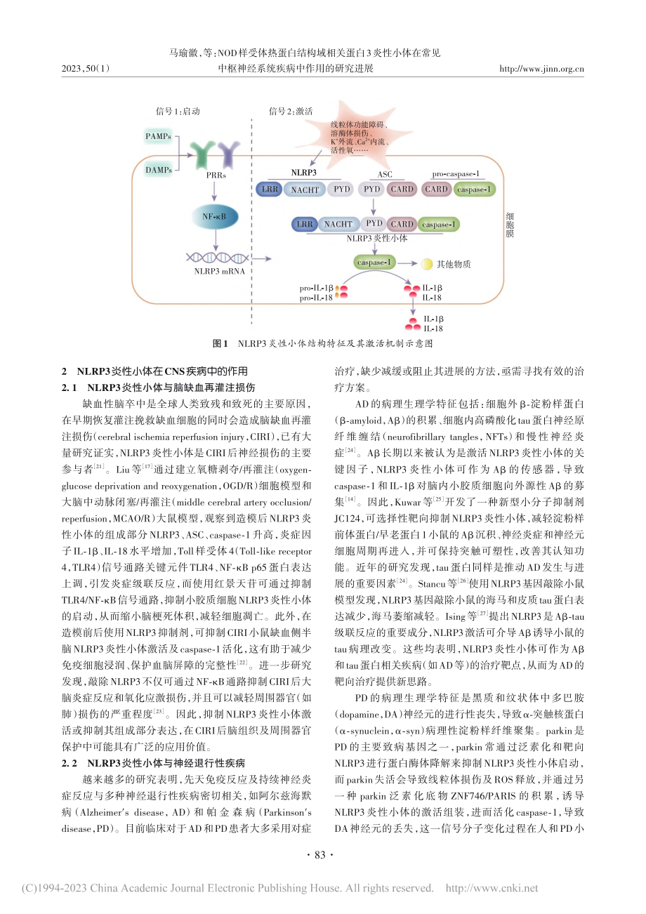 NOD样受体热蛋白结构域相...经系统疾病中作用的研究进展_马瑜徽.pdf_第3页