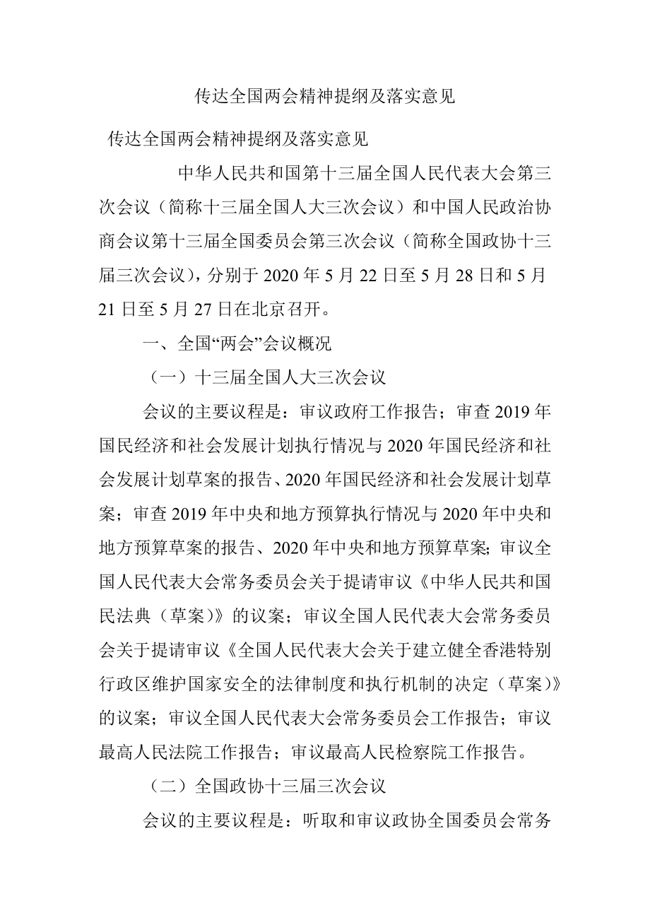 传达全国两会精神提纲及落实意见.docx_第1页