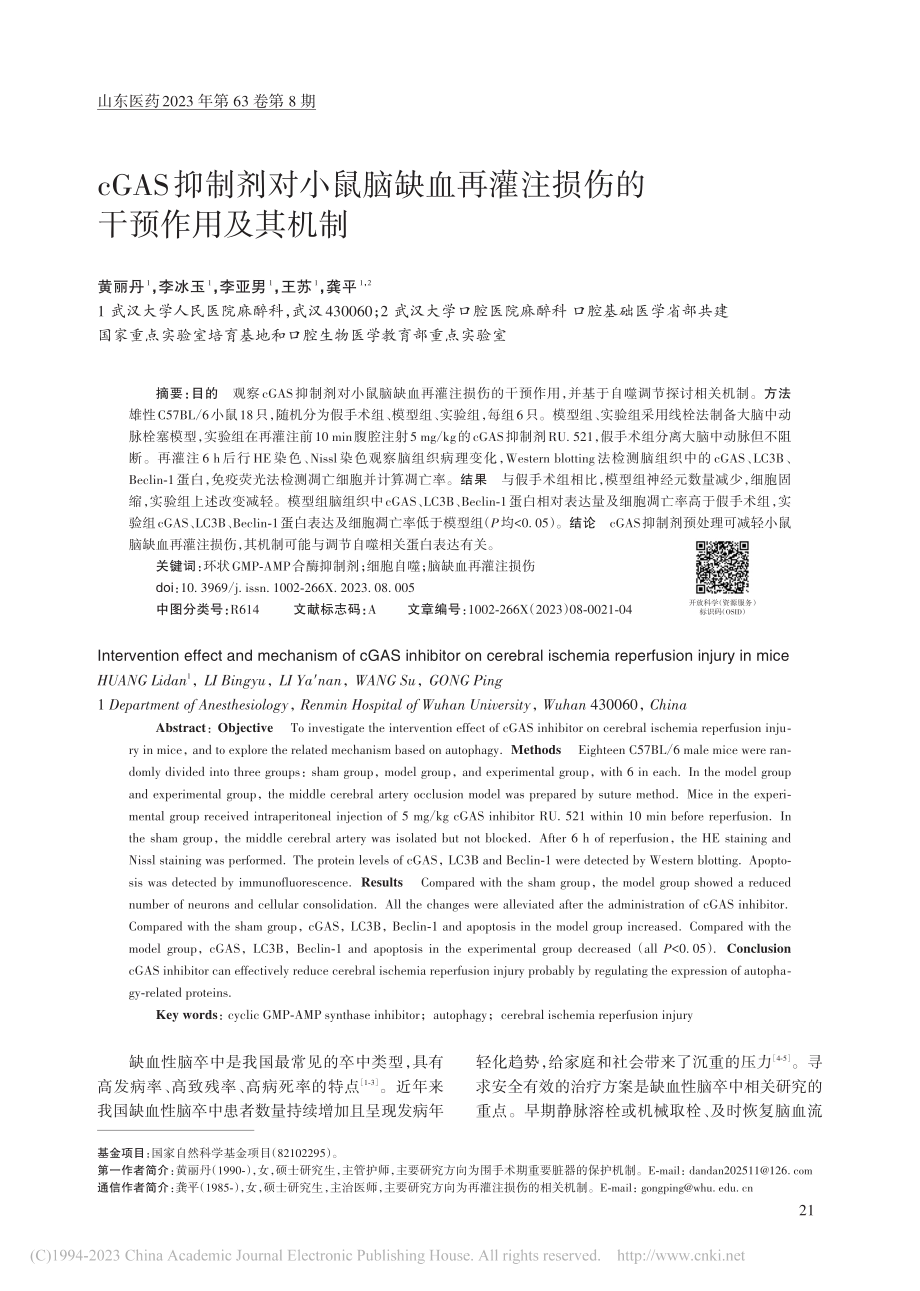 cGAS抑制剂对小鼠脑缺血...灌注损伤的干预作用及其机制_黄丽丹.pdf_第1页