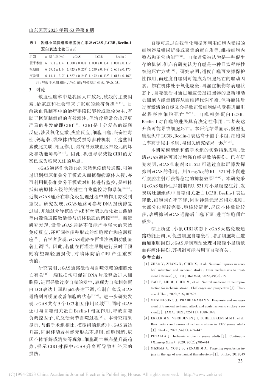 cGAS抑制剂对小鼠脑缺血...灌注损伤的干预作用及其机制_黄丽丹.pdf_第3页