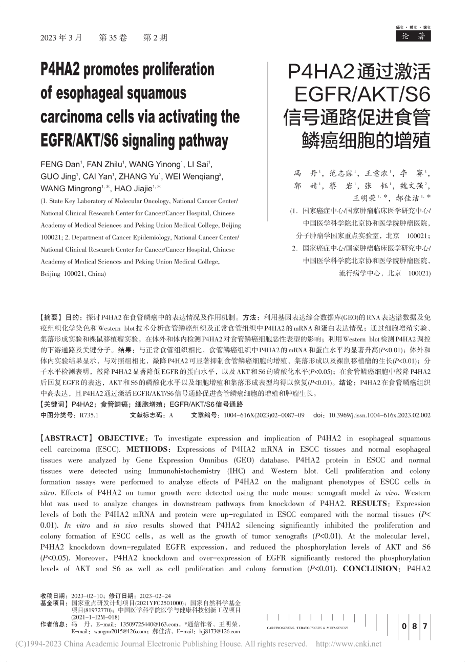 P4HA2通过激活EGFR...通路促进食管鳞癌细胞的增殖_冯丹.pdf_第1页