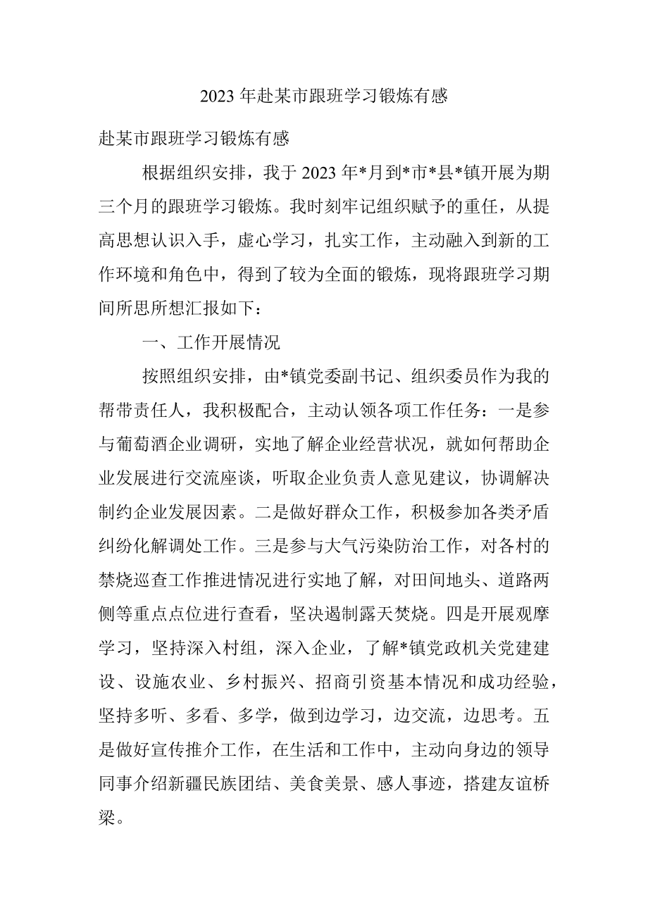 2023年赴某市跟班学习锻炼有感.docx_第1页