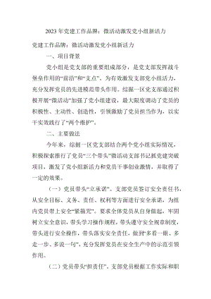 2023年党建工作品牌：微活动激发党小组新活力.docx