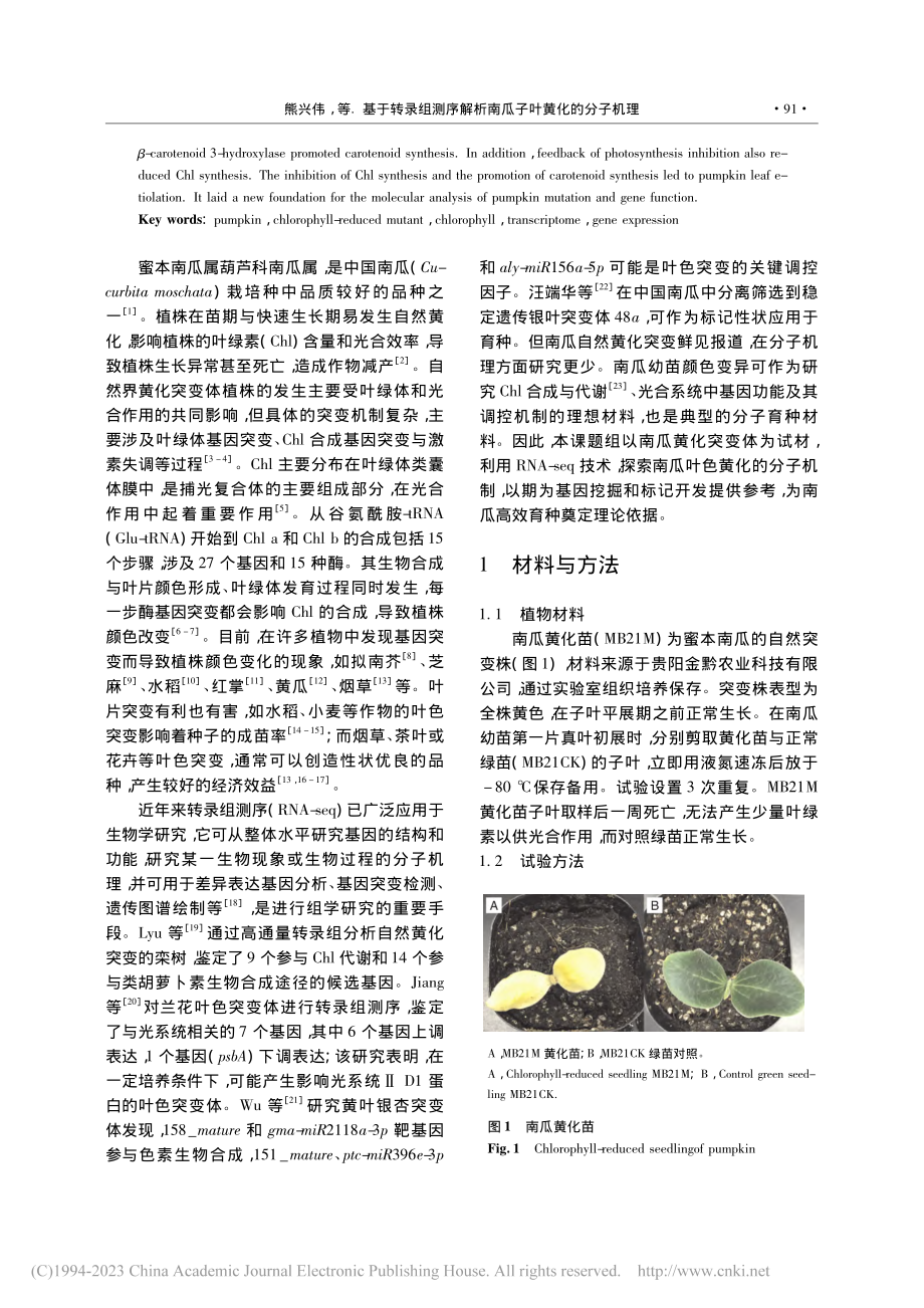 基于转录组测序解析南瓜子叶黄化的分子机理_熊兴伟.pdf_第2页