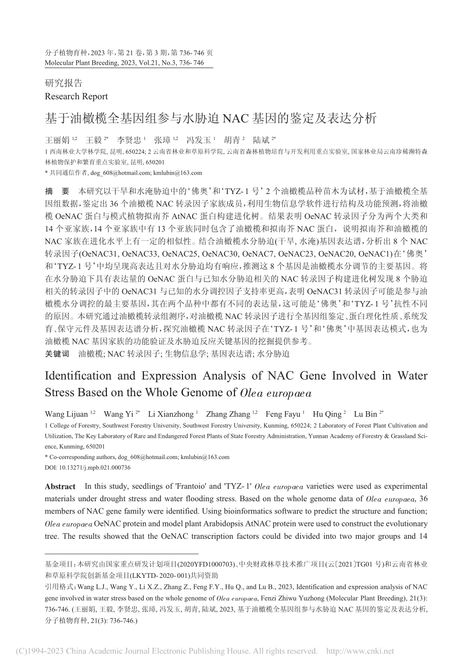 基于油橄榄全基因组参与水胁...NAC基因的鉴定及表达分析_王丽娟.pdf_第1页