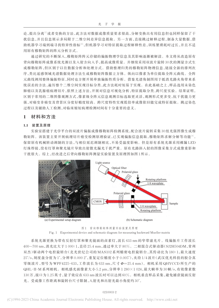 基于穆勒矩阵成像全阵元曲线的癌变组织识别_高君朝.pdf_第2页