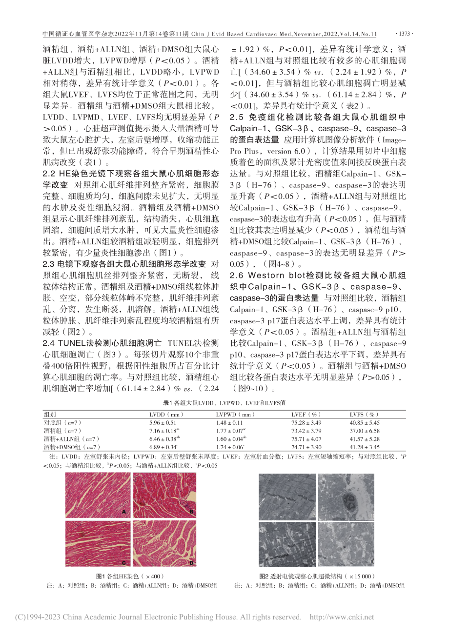 基于调控Calpain_G...性心肌病心肌细胞凋亡的研究_王檬.pdf_第3页