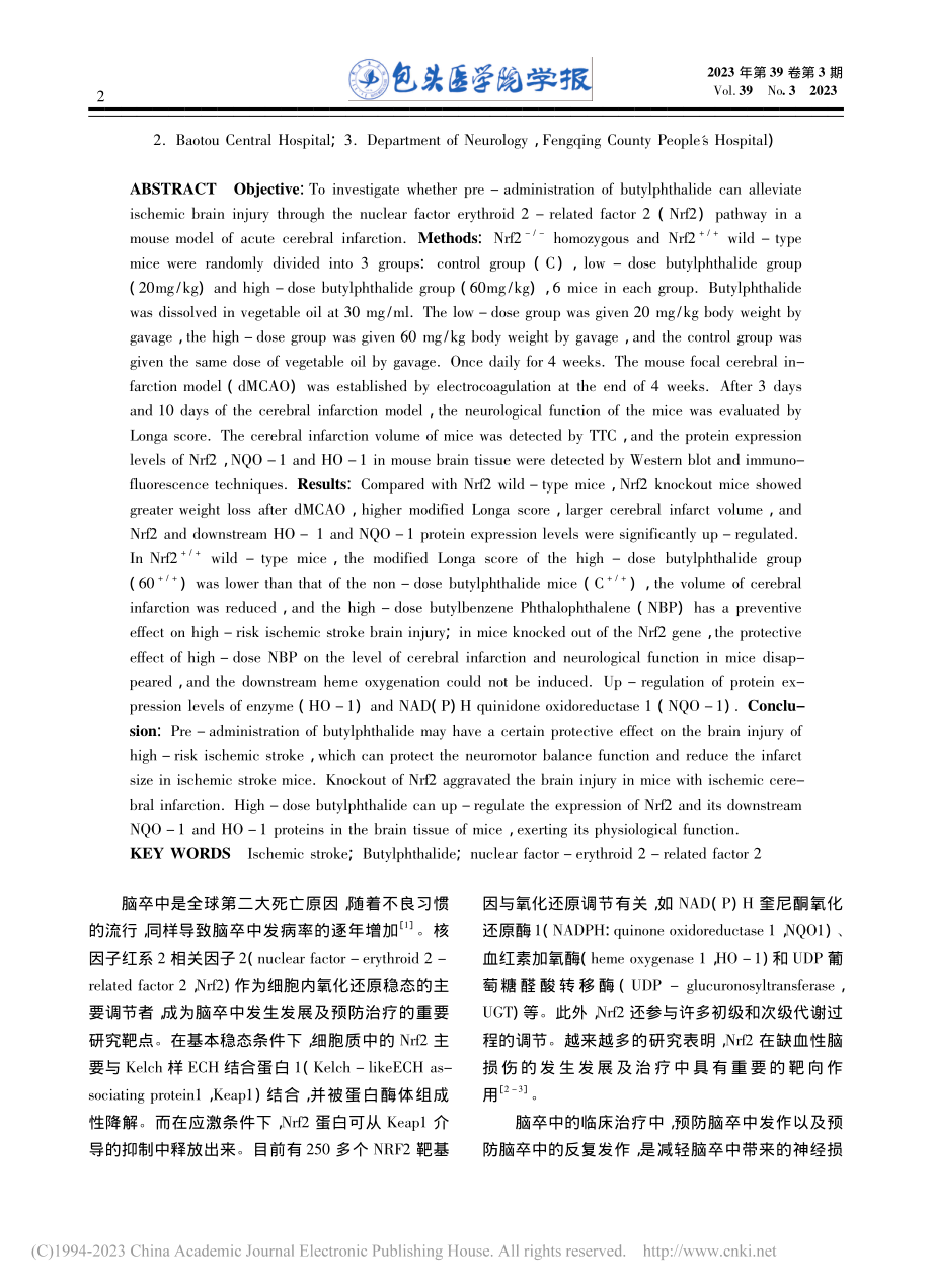 基于Nrf2信号通路研究丁...对高危缺血性卒中的保护作用_王晗彰.pdf_第2页