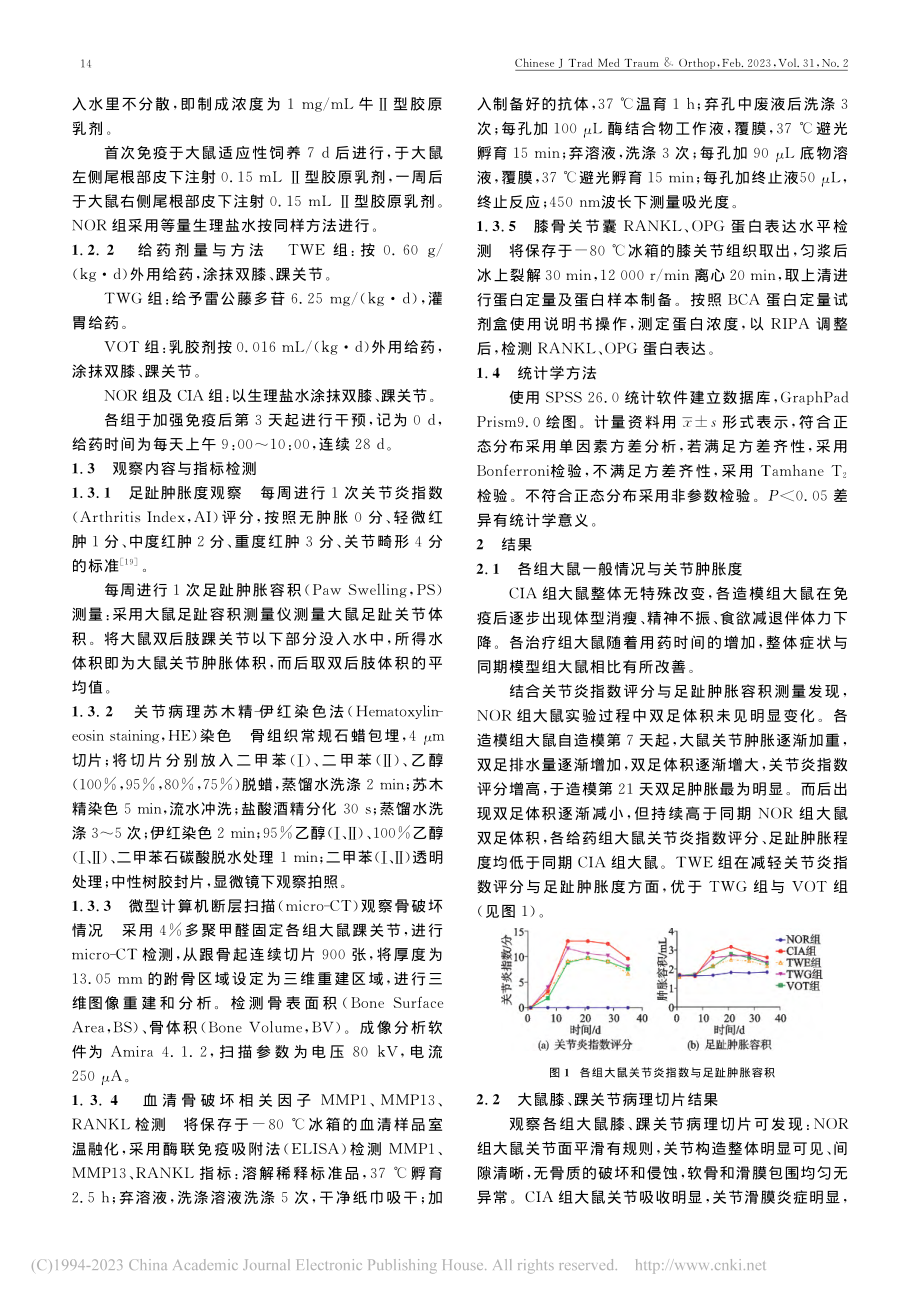 基于核因子-κB受体活化因...诱导型关节炎模型大鼠骨破坏_程增玉.pdf_第3页