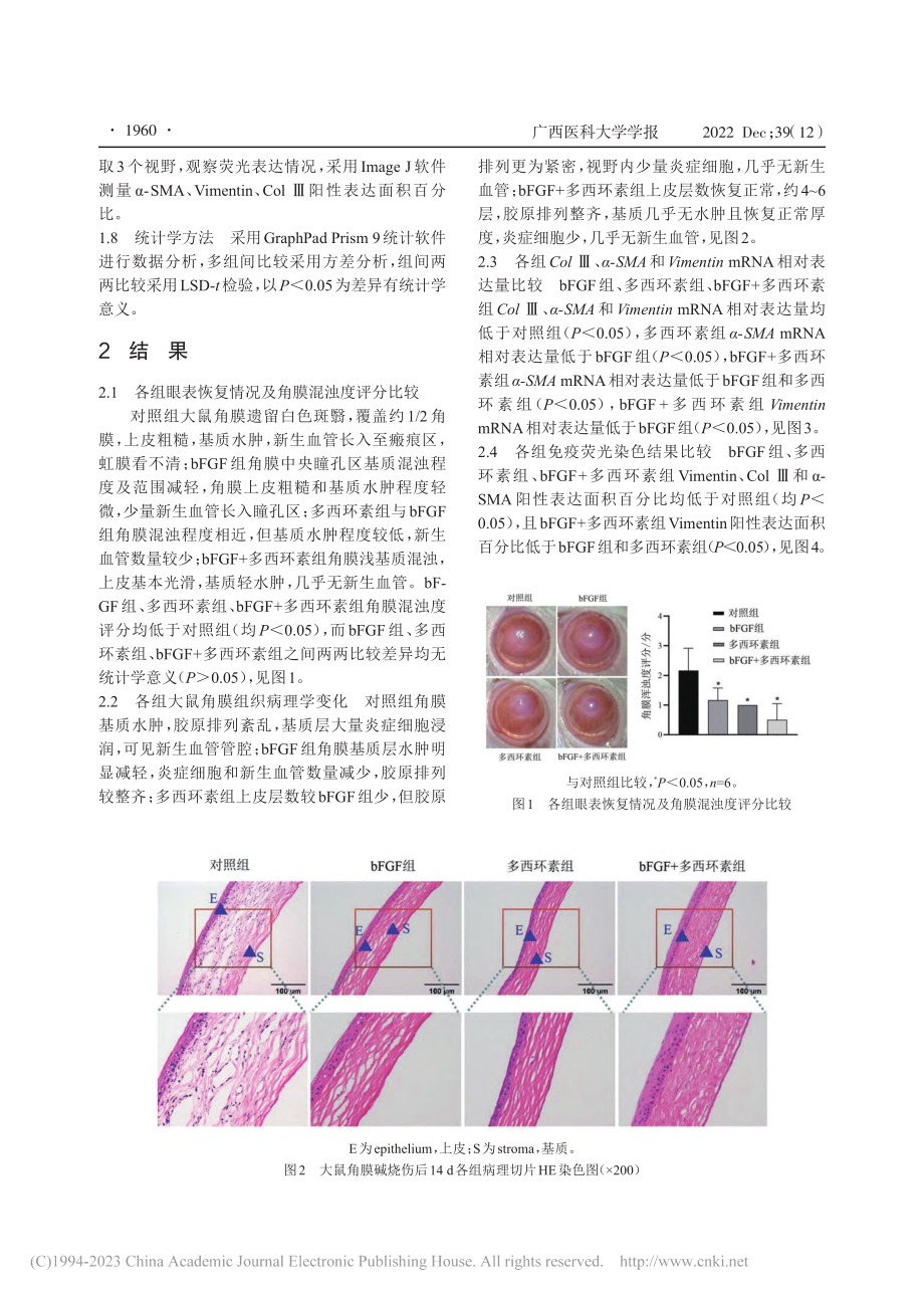 碱性成纤维细胞生长因子联合...碱烧伤大鼠角膜纤维化的作用_何冰冰.pdf_第3页