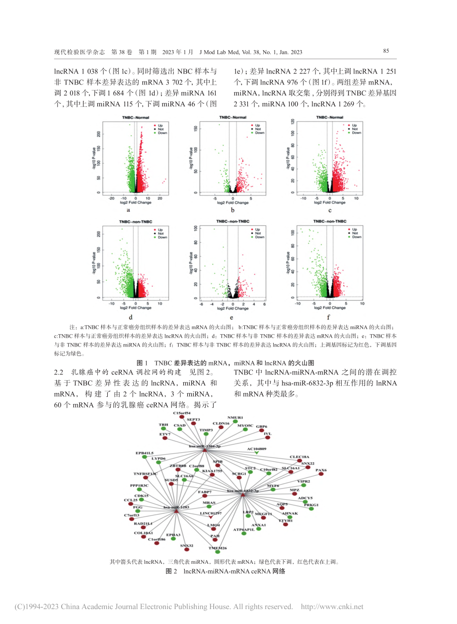 基于TCGA数据库构建三阴...的ceRNA调控网络及分析_肖姗姗.pdf_第3页