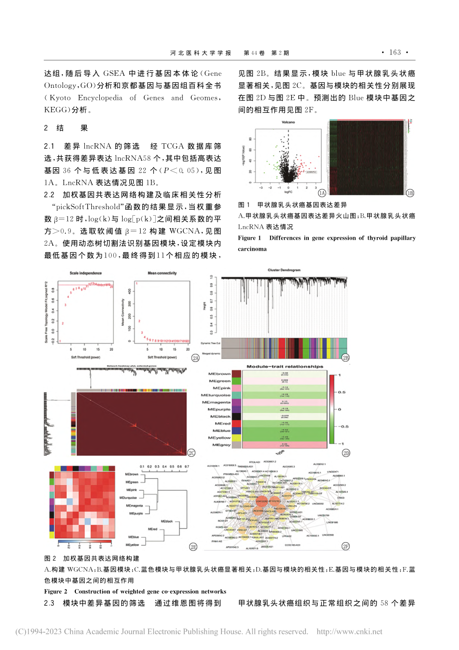 基于生物信息学分析LncR...乳头状癌中的表达及相关分析_梁新科.pdf_第3页