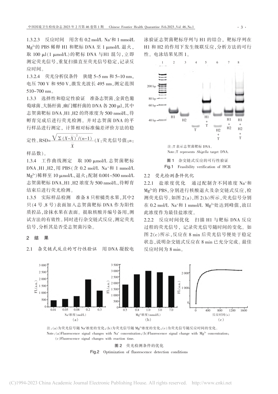 基于杂交链式反应的志贺菌核酸快速检测研究_钟心怡.pdf_第3页