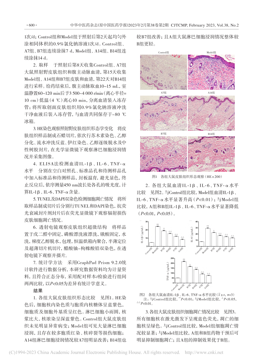 加味四妙勇安膏对急性放射性...肤细胞凋亡和炎症损伤的影响_苑忠霞.pdf_第3页