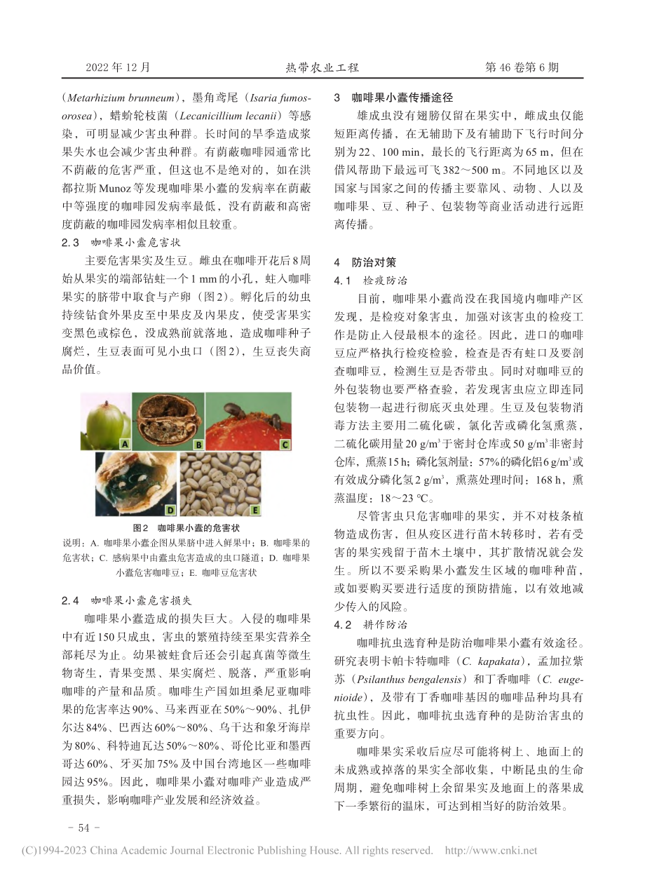 咖啡果小蠹危害及防治对策_梁静思.pdf_第3页