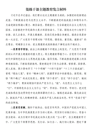 处级干部主题教育发言材料.docx