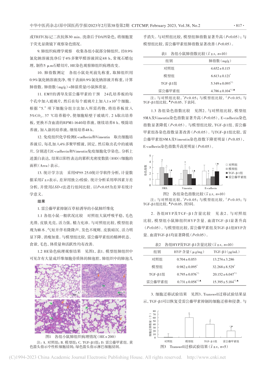 雷公藤甲素通过转化生长因子...制百草枯诱导的肺纤维化机制_李全.pdf_第3页