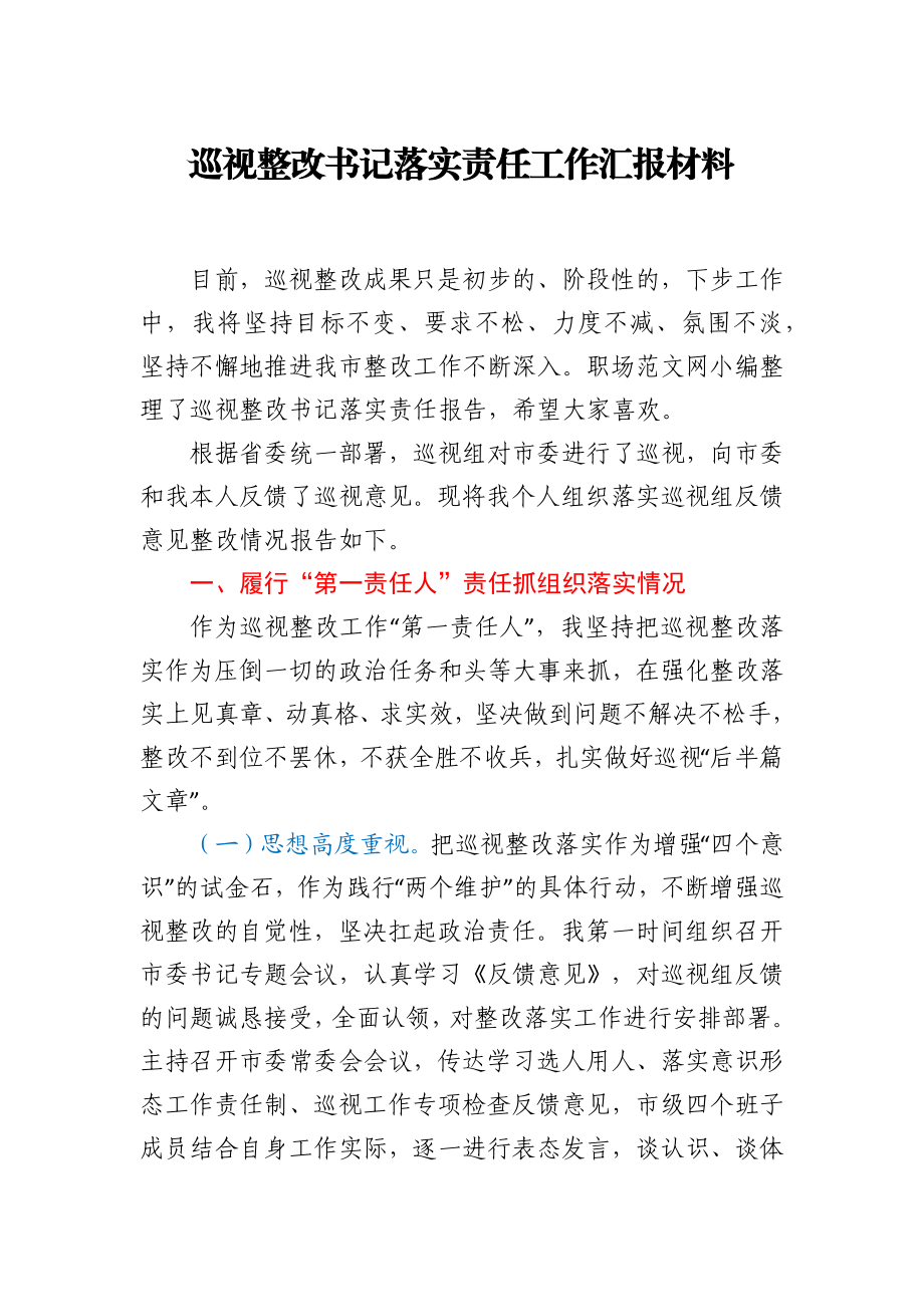 巡视整改书记落实责任工作汇报材料.docx_第1页