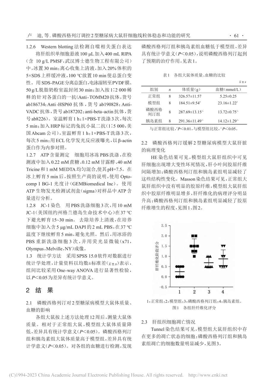 磷酸西格列汀调控2型糖尿病...细胞线粒体稳态和功能的研究_卢迪.pdf_第3页