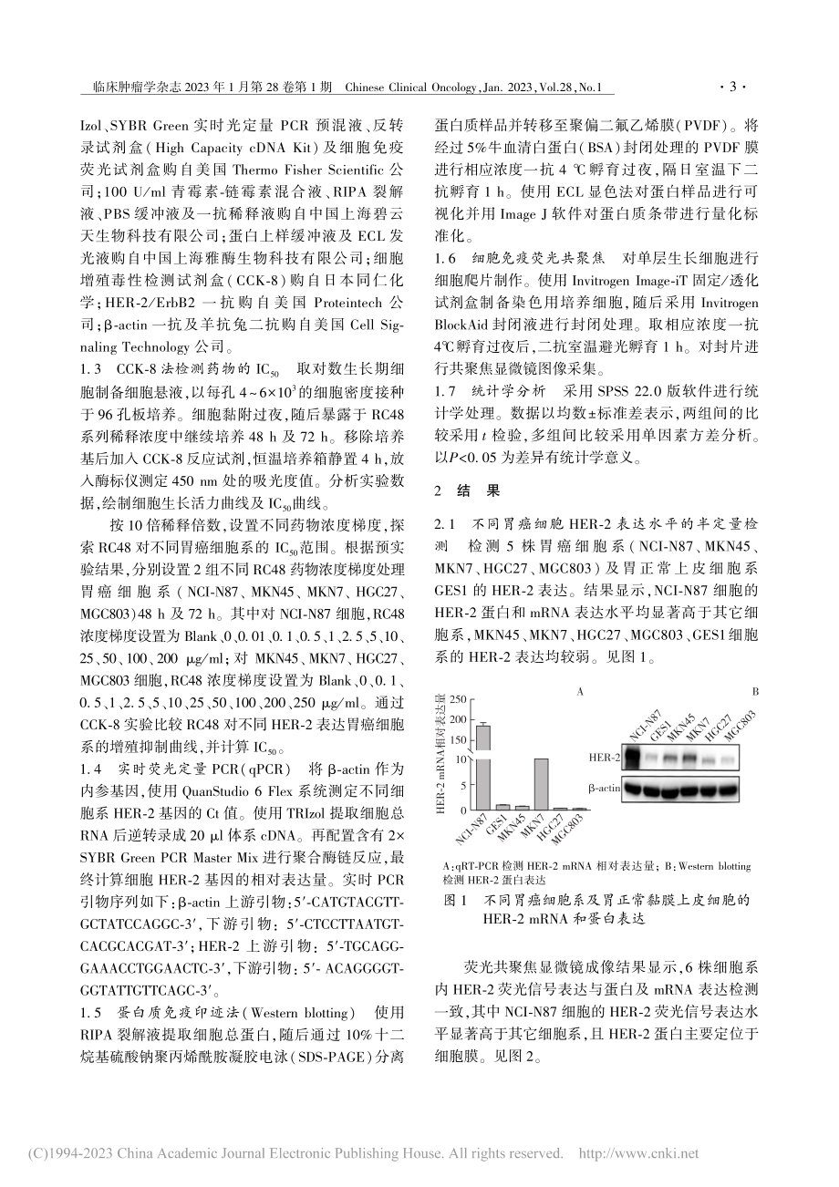 抗体偶联药物维迪西妥单抗对...胃癌细胞抑制效应的体外研究_金洋冰.pdf_第3页