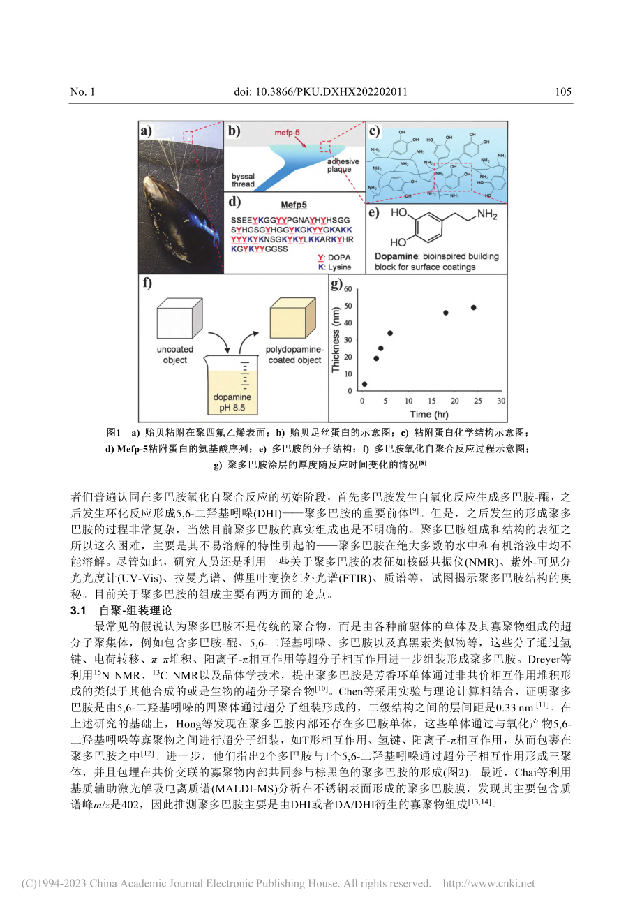 聚多巴胺的发现、反应原理及应用_彭浩南.pdf_第3页