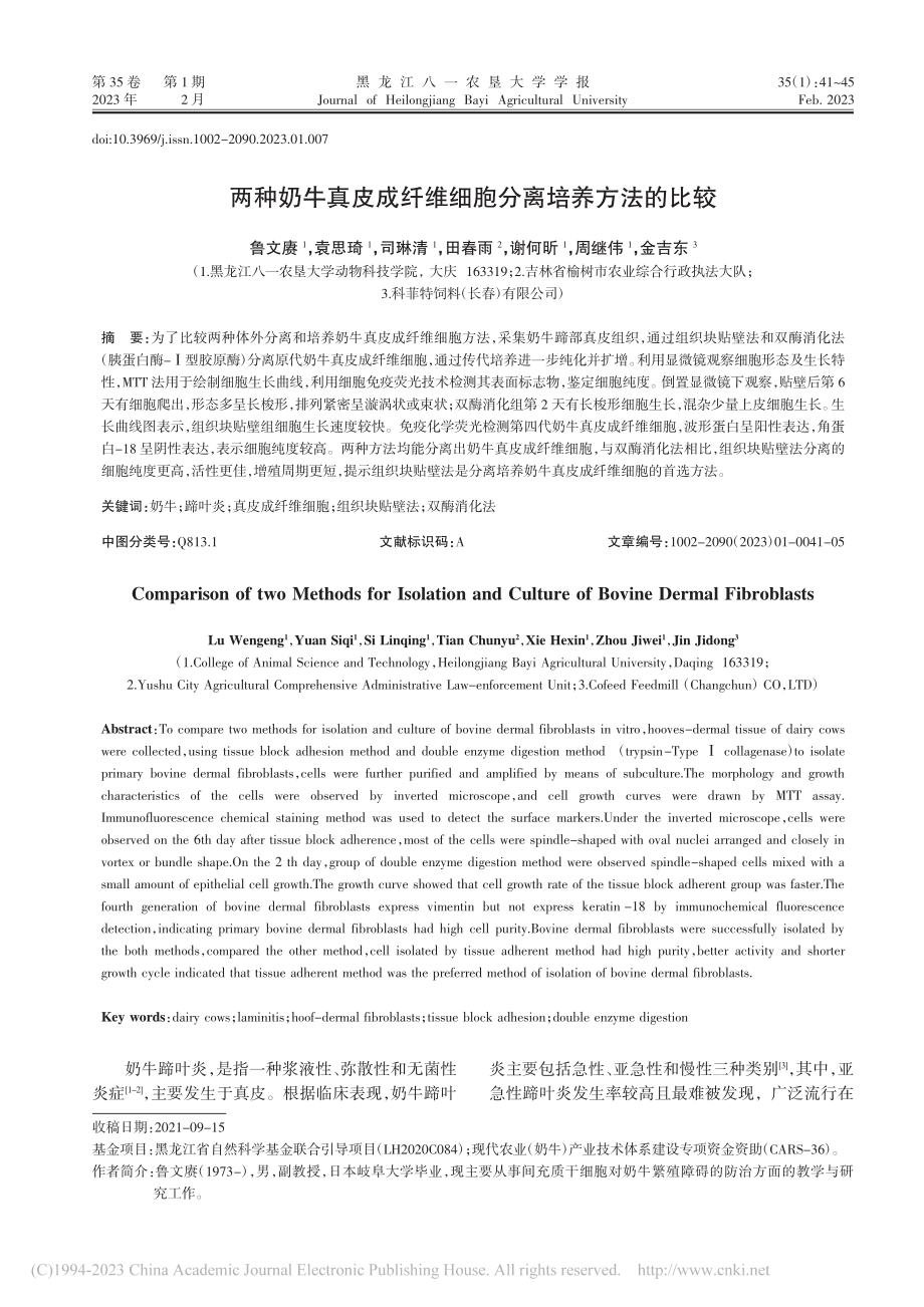 两种奶牛真皮成纤维细胞分离培养方法的比较_鲁文赓.pdf_第1页