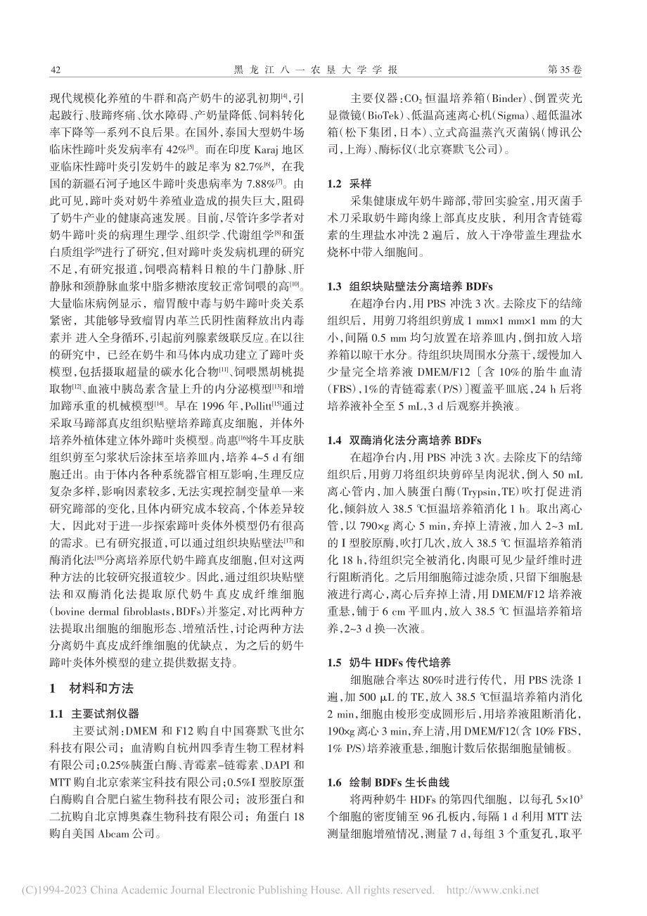 两种奶牛真皮成纤维细胞分离培养方法的比较_鲁文赓.pdf_第2页